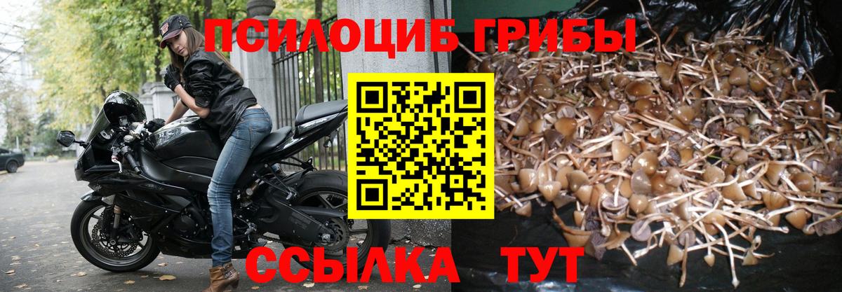 Галлюциногенные грибы мухоморы  Вход с VPN  Тобольск 